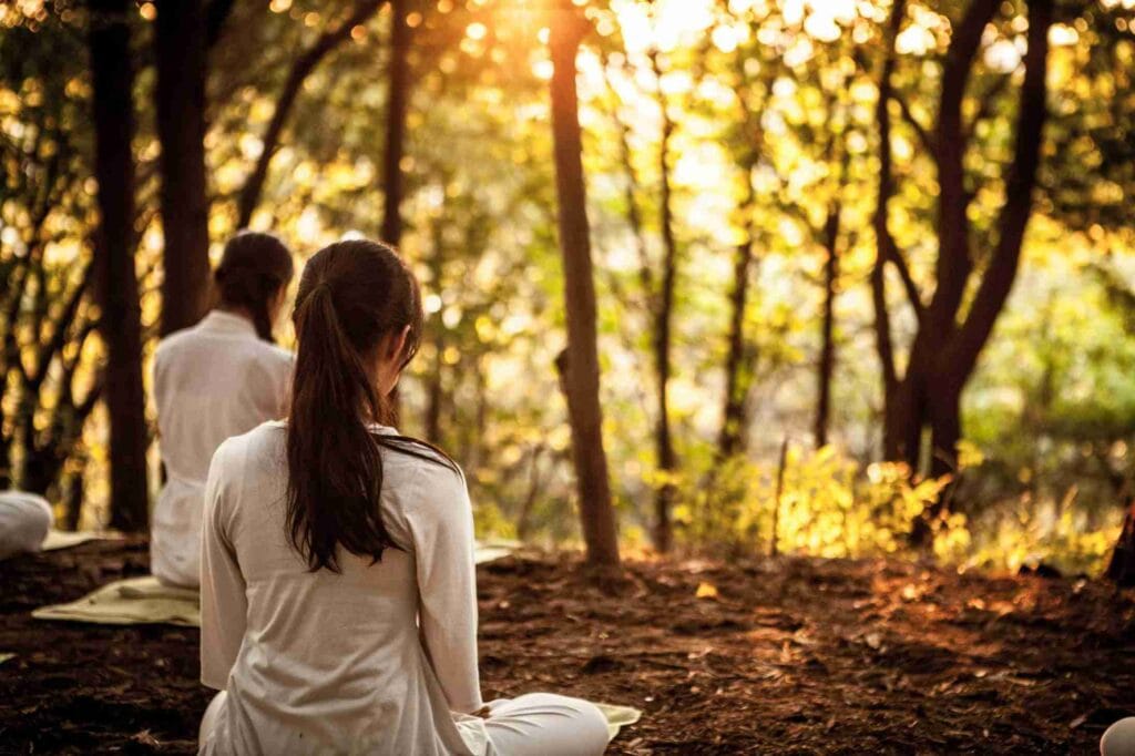 People meditating in a serene forest