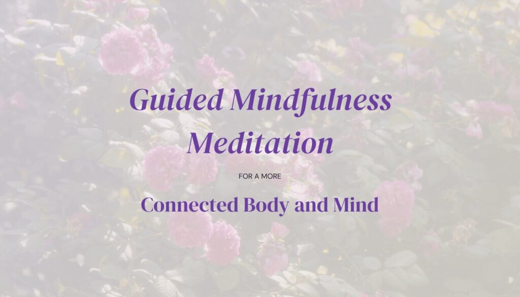 guided mindfulness meditation